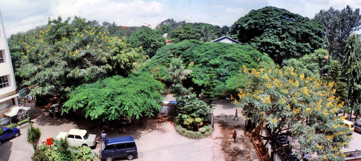Ashraya Hotel view
